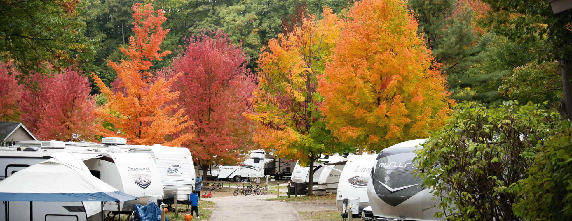 Fall Colors Luncheon